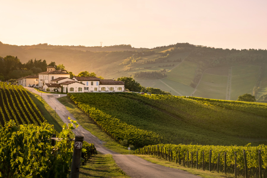 Offerte culinarie d’eccellenza Offerte culinarie d’eccellenza
